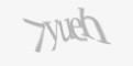Защитный код