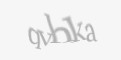Защитный код