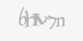 Защитный код