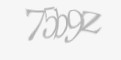 Защитный код